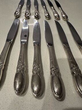 Classic Floral-Accent Stainless Steel Dinner Knives - Silver (Set of 12)